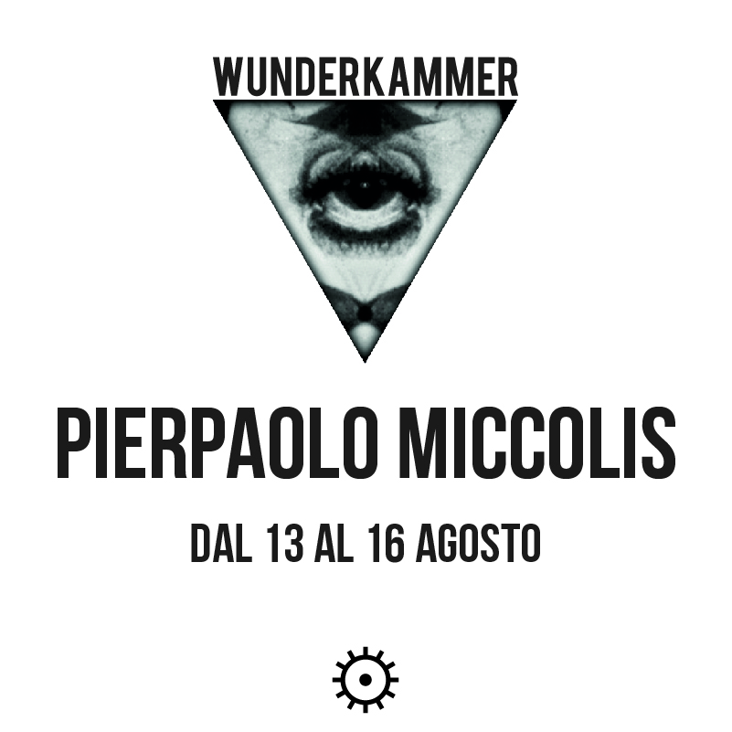 Wunderkammer - Pierpaolo Miccolis